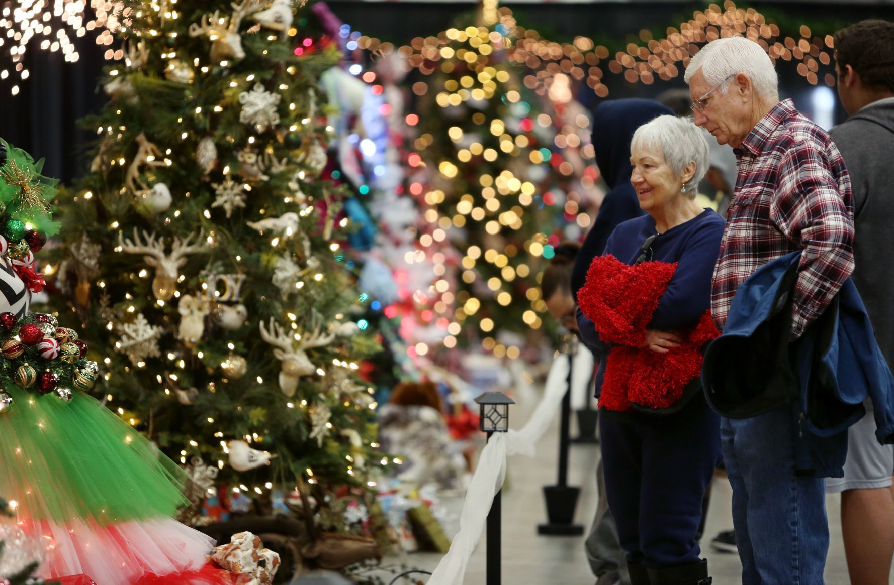 Festival of Trees